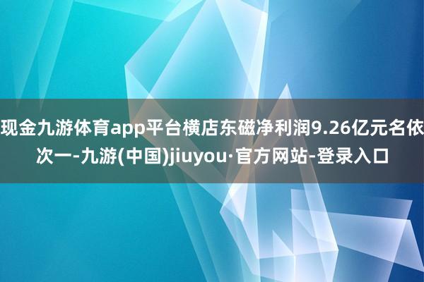 现金九游体育app平台横店东磁净利润9.26亿元名依次一-九游(中国)jiuyou·官方网站-登录入口