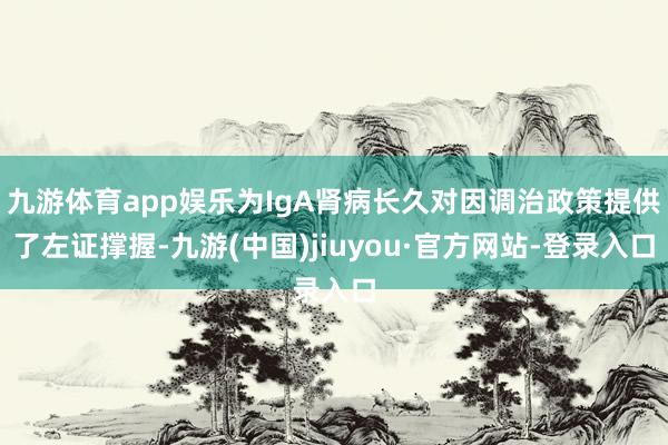 九游体育app娱乐为IgA肾病长久对因调治政策提供了左证撑握-九游(中国)jiuyou·官方网站-登录入口