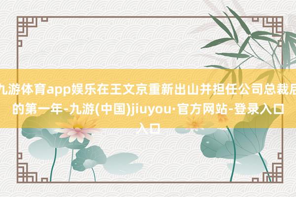 九游体育app娱乐在王文京重新出山并担任公司总裁后的第一年-九游(中国)jiuyou·官方网站-登录入口